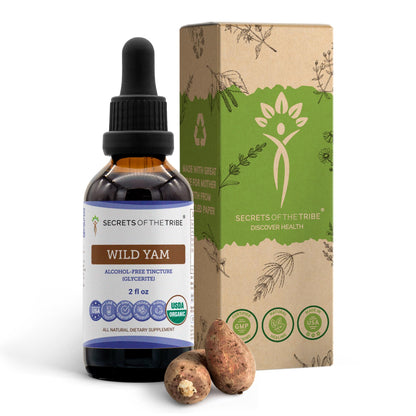 Secrets of the Tribe Wild Yam USDA Organic - Alcohol-Free Extract | High-Potency Herbal Drops
