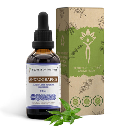 Secrets of the Tribe Andrographis Alcohol-Free Liquid Extract 2 FL OZ – Fah talai jone, Chuan Xin Lian, Andrographis paniculata Tincture