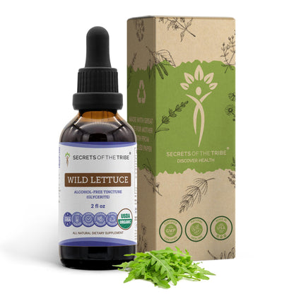Secrets of the Tribe: Wild Lettuce Alcohol-Free Tincture (USDA Organic, 2 oz)