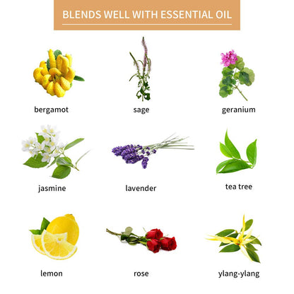 Sedbuwza Chamomile Essential Oil – Pure Organic Chamomile Fragrance for Diffuser, Soap & Candle