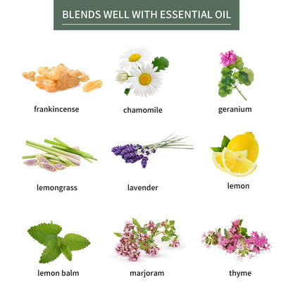 Sedbuwza Eucalyptus Essential Oil – Pure Organic Fragrance for Diffuser & Soap