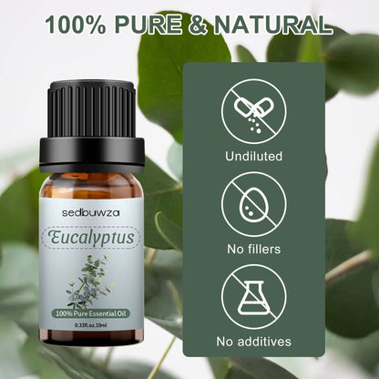 Sedbuwza Eucalyptus Essential Oil – Pure Organic Fragrance for Diffuser & Soap