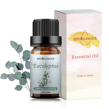 Sedbuwza Eucalyptus Essential Oil – Pure Organic Fragrance for Diffuser & Soap