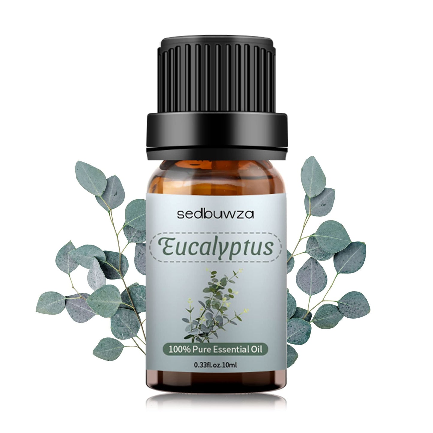 Sedbuwza Eucalyptus Essential Oil – Pure Organic Fragrance for Diffuser & Soap