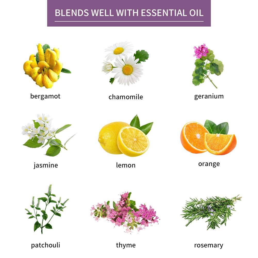 Sedbuwza Lavender Essential Oil – Pure Organic Fragrance for Diffuser & Soap