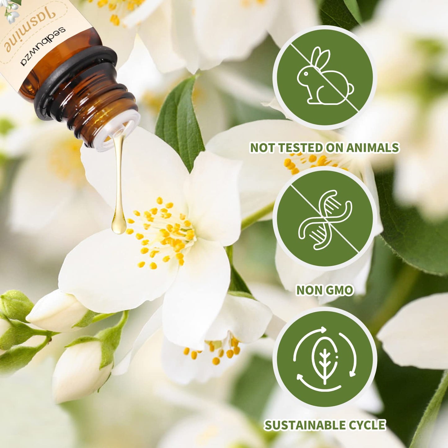 Sedbuwza Lavender Jasmine Essential Oil Set - 2 x 10 ml | Diffuser, Aromatherapy, Massage, Soap & Candle Making