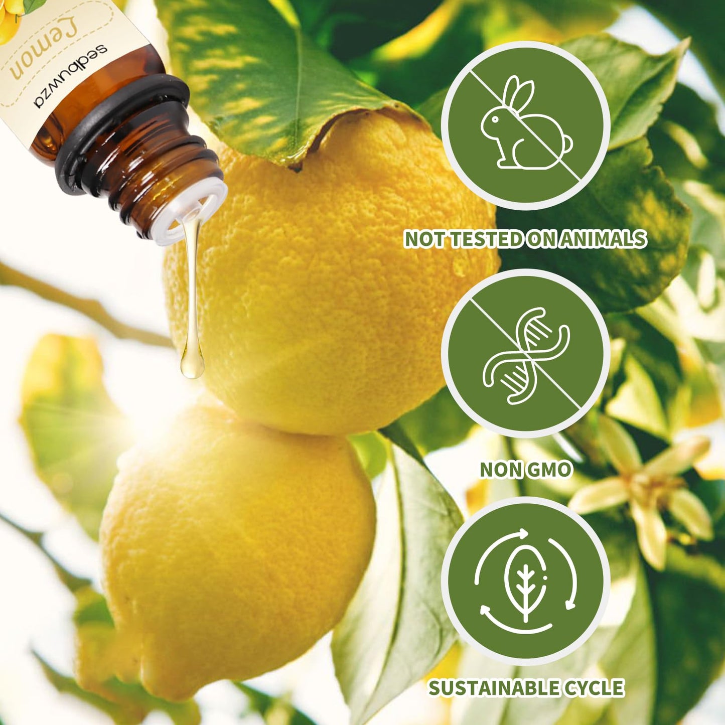 Sedbuwza Lemon & Orange Essential Oil Set - 2x10ml | Diffuser & Aromatherapy