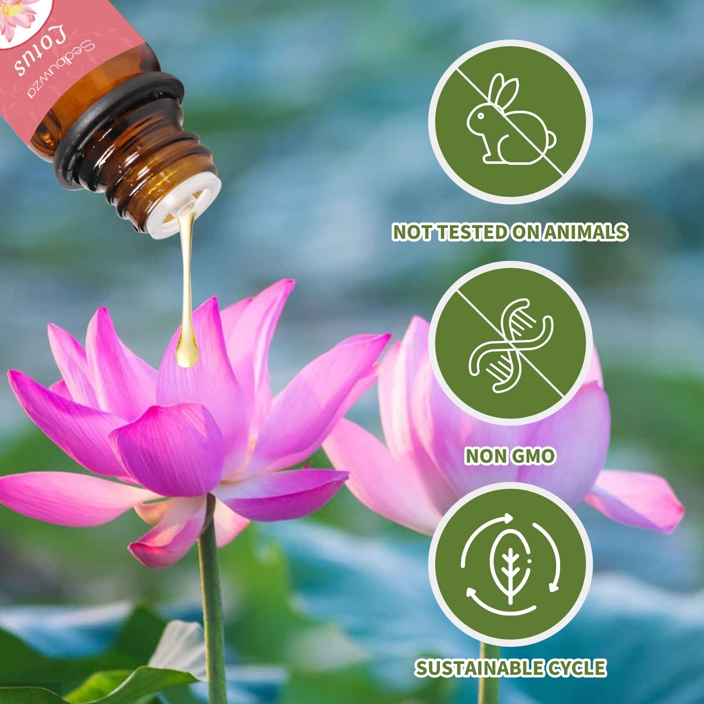 Sedbuwza Peony & Lotus Essential Oil Set – 2 x 10 ml for Diffuser, Aromatherapy