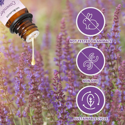 Sedbuwza Rose Lavender Essential Oil Set, Rose Fragrance Oil Lavender Scent Oil Set for Diffuser, Aromatherapy, Massage, Soap, Candle Making 2 x 10 ml