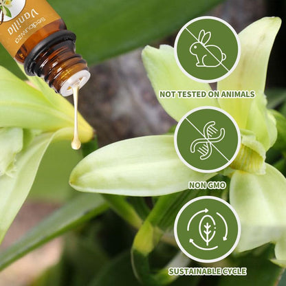 Sedbuwza Vanilla Essential Oil Set – 2 x 10 ml for Aromatherapy, Diffuser, Massage