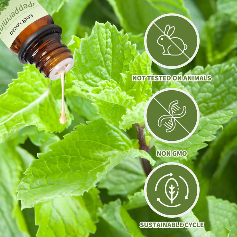 Sedbuwza Vanilla Peppermint Essential Oil Set – 2 x 10 ml for Diffuser, Aromatherapy & DIY