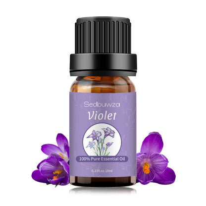 Sedbuwza Violet Essential Oil – 100% Pure Organic Aromatherapy Oil