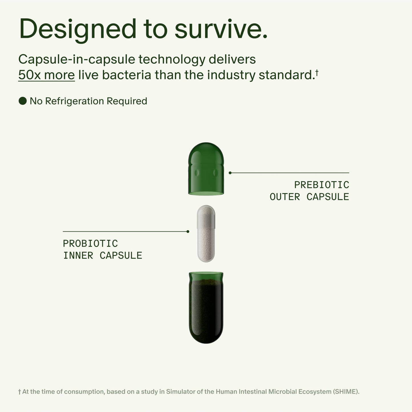 Seed 14 Day Gut Reset | Probiotic & Prebiotic for Digestive Health