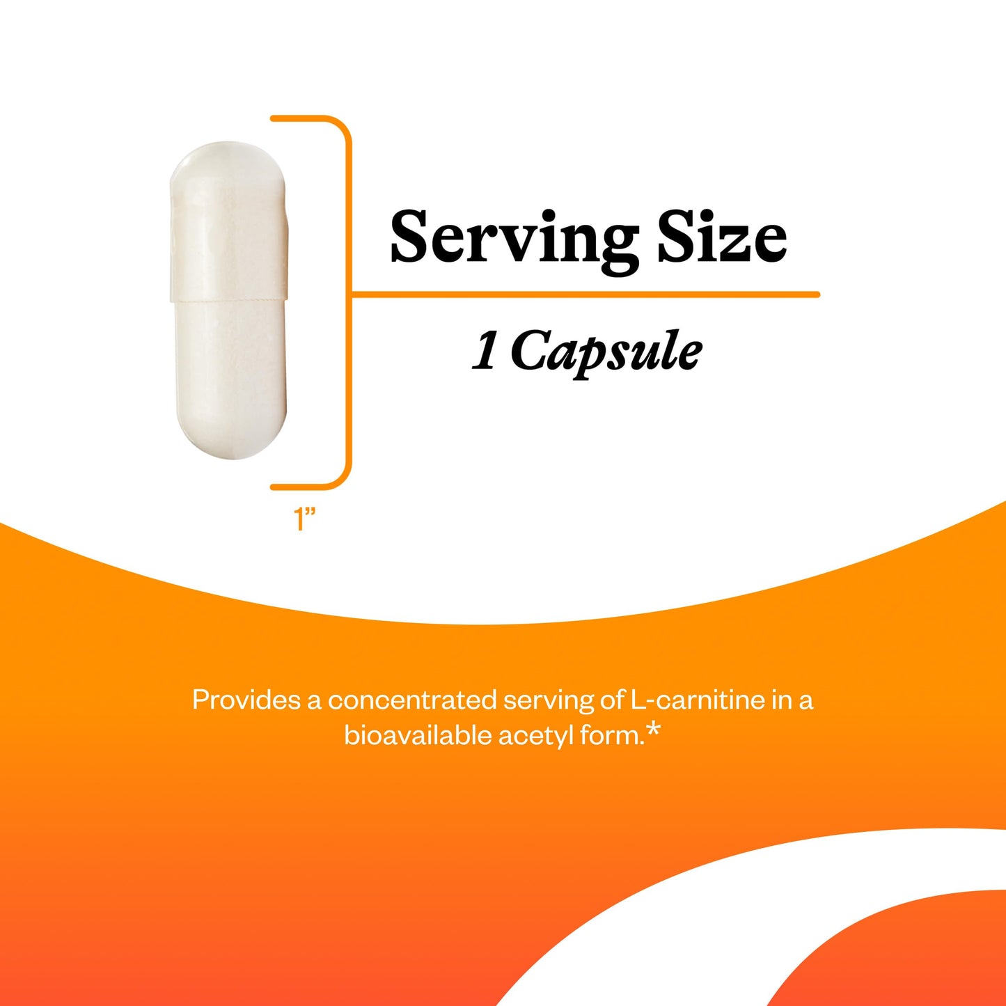 Seeking Health Acetyl-L-Carnitine 500 mg – 90 Capsules | Energy, Fat Metabolism & Memory