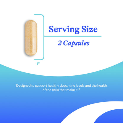 Seeking Health Dopamine Nutrients, Energy Support, Antioxidant Support, Vegetarian (60 Capsules)