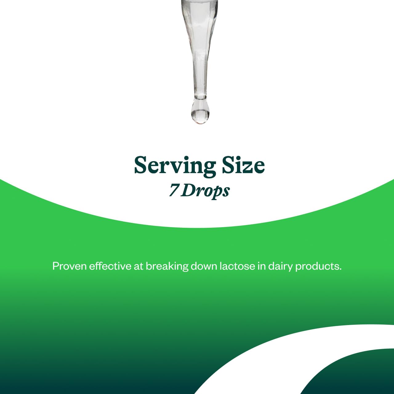Seeking Health Lactase Drops - Lactase Enzyme Liquid Supplement for Dairy Intolerance Support | 0.50 Fl oz, 52 Servings