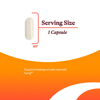 Seeking Health Lithium Orotate – Brain Health & Memory Support | 5 mg Li, 100 Capsules