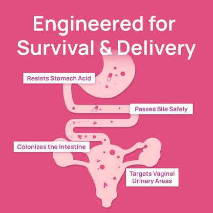Selerb Vaginal Probiotics for Women - 50B CFU, Cranberry Prebiotics & 60 Capsules