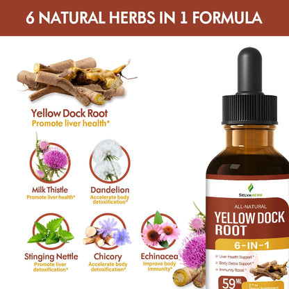 Selvaherb Yellow Dock Root Drops – Liver Health & Detox (2oz)