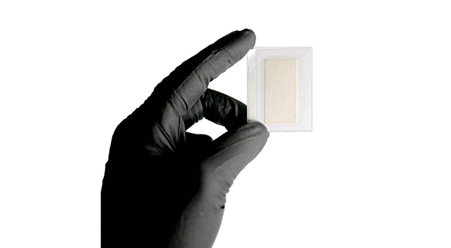 Semen Detection Test Strips (5-Pack) - Forensic Infidelity Kit