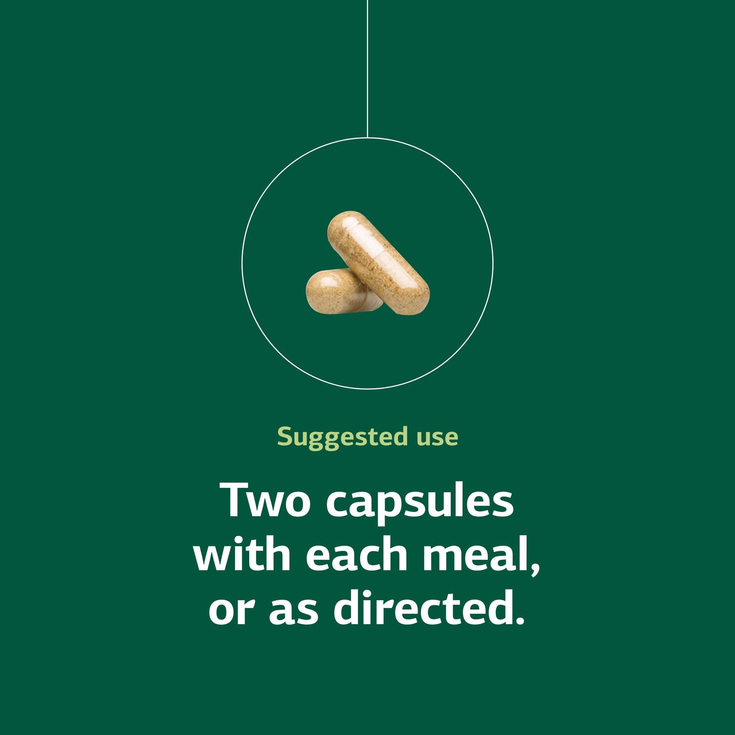 Standard Process Senaplex - Nervous System Support, Brain Health | 90 Capsules