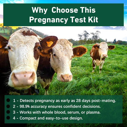 Bovine Pregnancy Test Kit - 2 Tests, Rapid 5-20 Minute Results for Dairy & Beef Cows