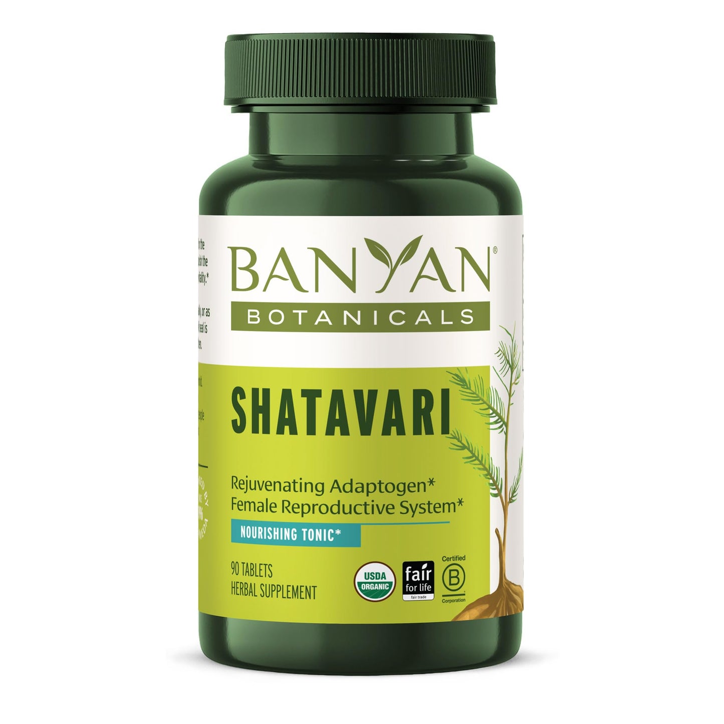 Shatavari Tablets – Organic Asparagus Racemosus Root (90 Tablets) | Vegan & Non-GMO | Banyan Botanicals