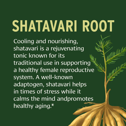 Shatavari Tablets – Organic Asparagus Racemosus Root (90 Tablets) | Vegan & Non-GMO | Banyan Botanicals