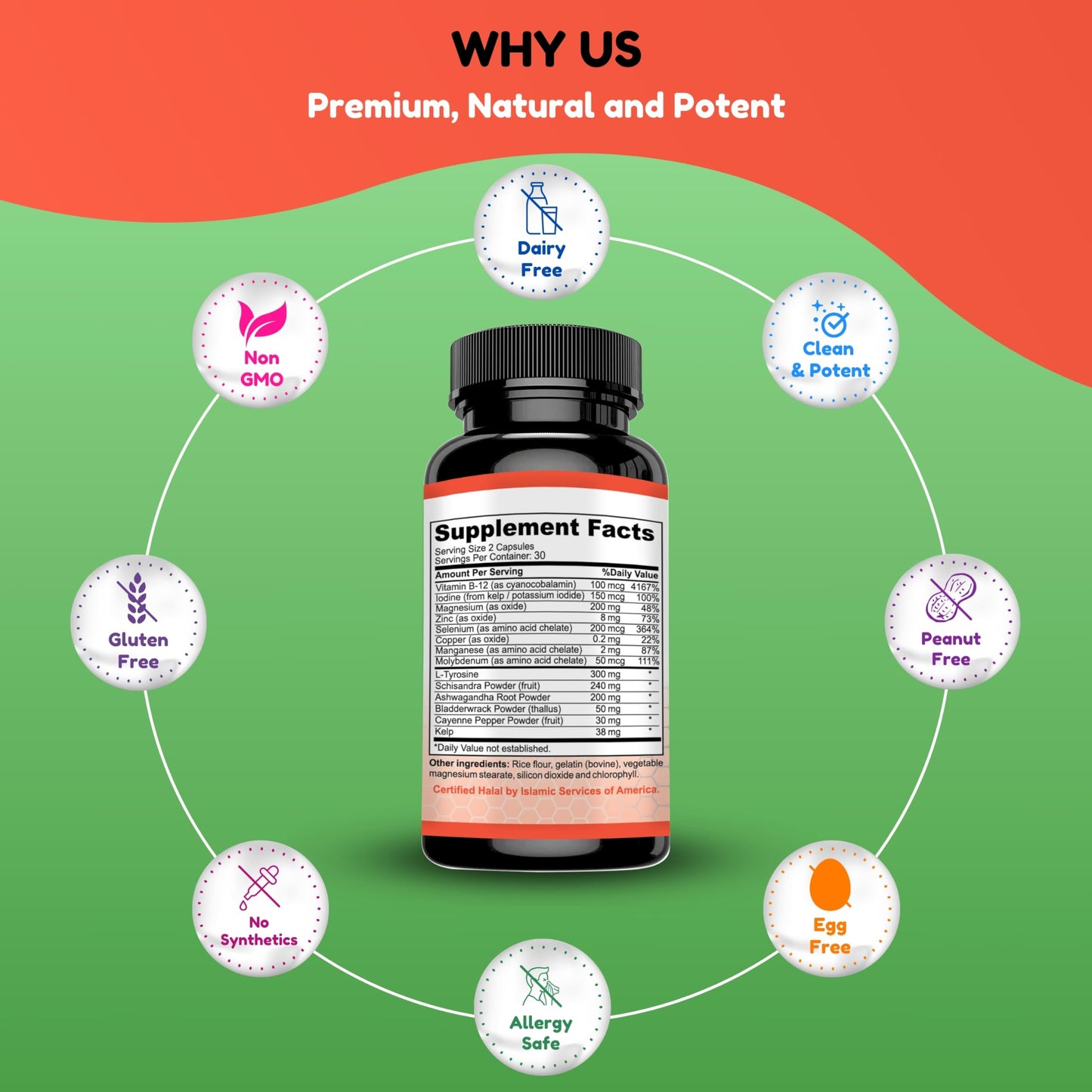 SHIFAA NUTRITION Halal Thyroid Support – 30 Servings | Non-GMO | B12, Iodine, Selenium