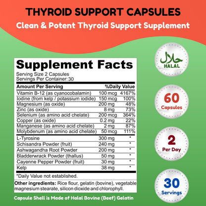 SHIFAA NUTRITION Halal Thyroid Support – 30 Servings | Non-GMO | B12, Iodine, Selenium