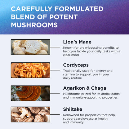 Dr. Emil Nutrition 10 Mushroom Nootropic Supplement – Clarity & Immune Support
