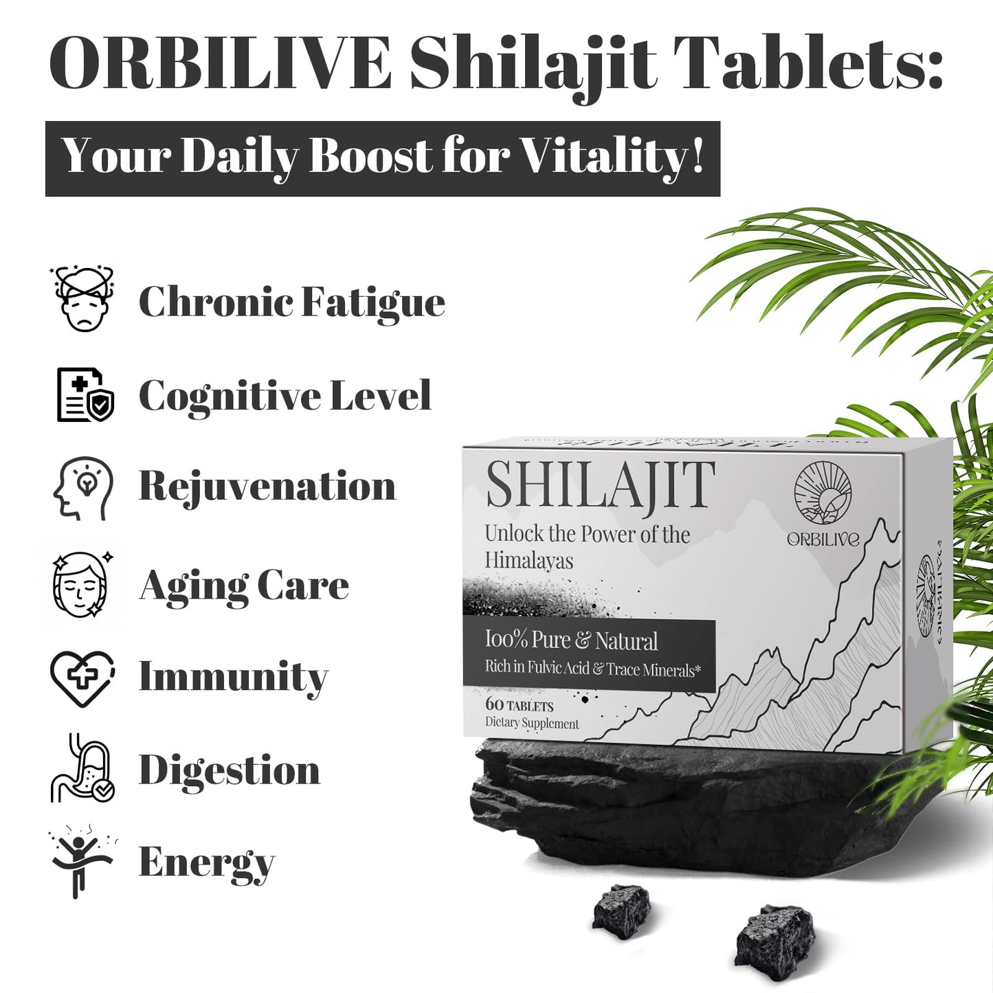 30,000 mg Shilajit Tablets – Himalayan Organic Shilajit, 60 Count