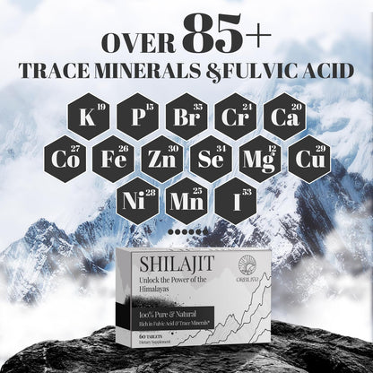 30,000 mg Shilajit Tablets – Himalayan Organic Shilajit, 60 Count