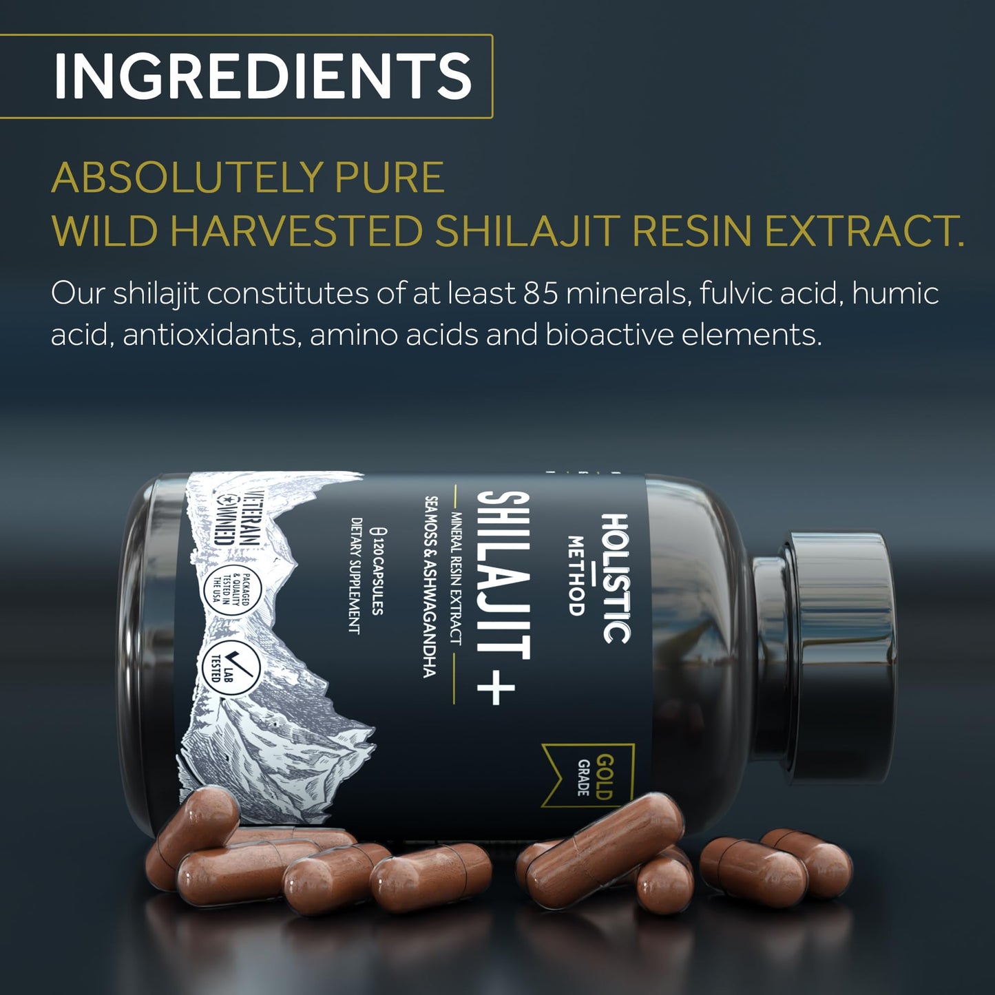 Holistic Method Shilajit Capsules - Pure Himalayan, 120 Count (Energy & Immune Support)