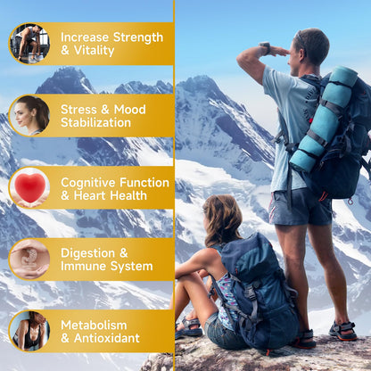 Shilajit Gummies – Sugar-Free, 60 Gummies | 85+ Minerals & Fulvic Acid
