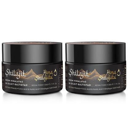 Shilajit Pure Himalayan Organic Shilajit Resin - Gold Grade 100% Purity | Fulvic Acid & 85+ Minerals | Energy & Immune Support | Pack of 2 (4 Months)