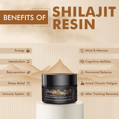 Shilajit Pure Himalayan Organic Shilajit Resin - Gold Grade 100% Purity | Fulvic Acid & 85+ Minerals | Energy & Immune Support | Pack of 2 (4 Months)