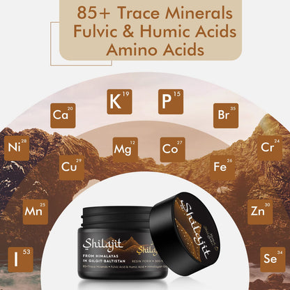 Shilajit Pure Himalayan Organic Shilajit Resin - Gold Grade 100% Purity | Fulvic Acid & 85+ Minerals | Energy & Immune Support | Pack of 2 (4 Months)