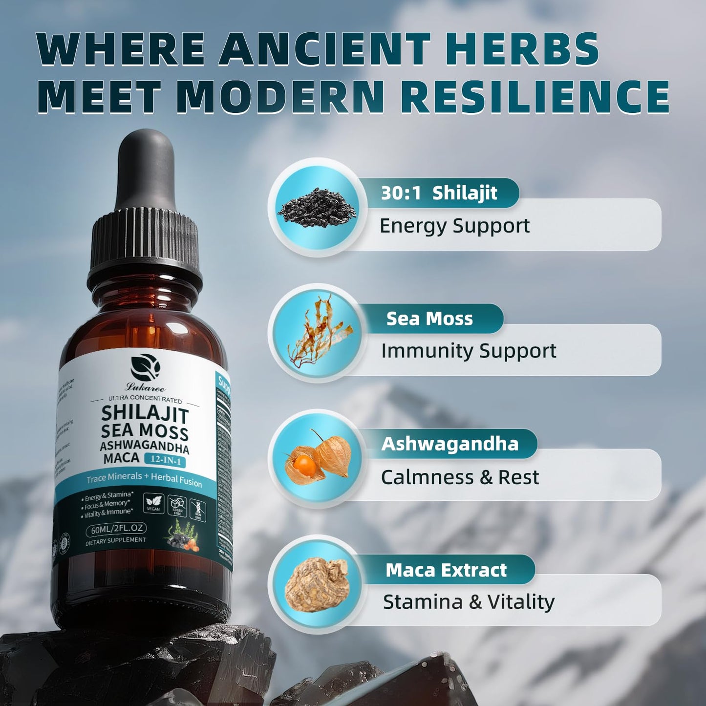 Shilajit Liquid Drops 12-in-1 Complex — Energy, Immune Support, Sea Moss & Minerals (60 ml)