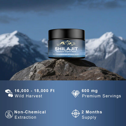 Himalayan Shilajit Resin 600mg – 85+ Minerals, Fulvic Acid | Energy & Immunity