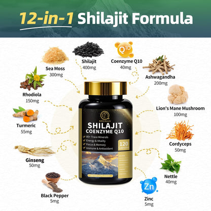 Shilajit & Sea Moss Bundle for Men – 240 Capsules with CoQ10
