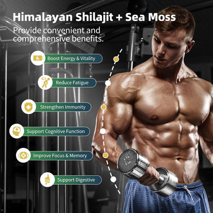 Shilajit & Sea Moss Bundle for Men – 240 Capsules with CoQ10