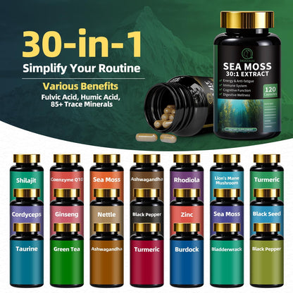 Shilajit & Sea Moss Bundle for Men – 240 Capsules with CoQ10
