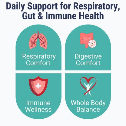SHIZAM Gummies: Slippery Elm, Mullein, Elderberry & Probiotic – Sugar-Free, Keto, Vegan