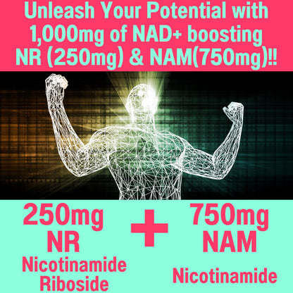 SHIZAM Nicotinamide Riboside NR NAM Resveratrol Gummies – NAD+ Boost (1000mg) with Niacinamide B3