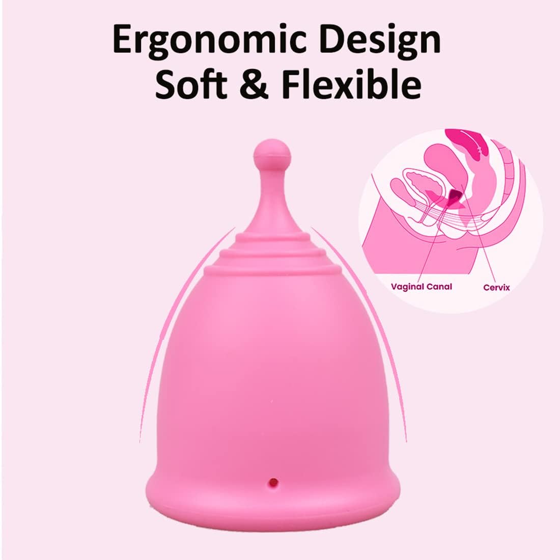 SHORDY Menstrual Cups Set of 2 – Small & Large, Reusable & Eco-Friendly