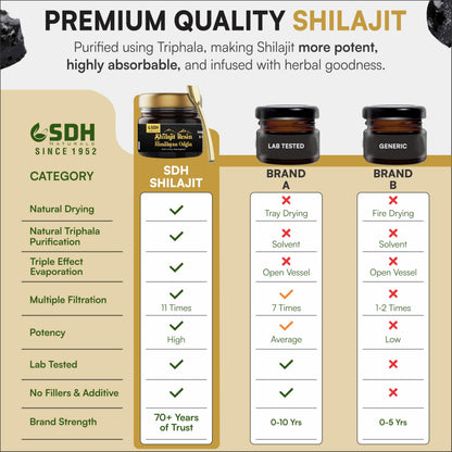SHREE DHANWANTRI HERBALS Himalayan Shilajit Resin – 30g (2-Month) for Energy & Focus