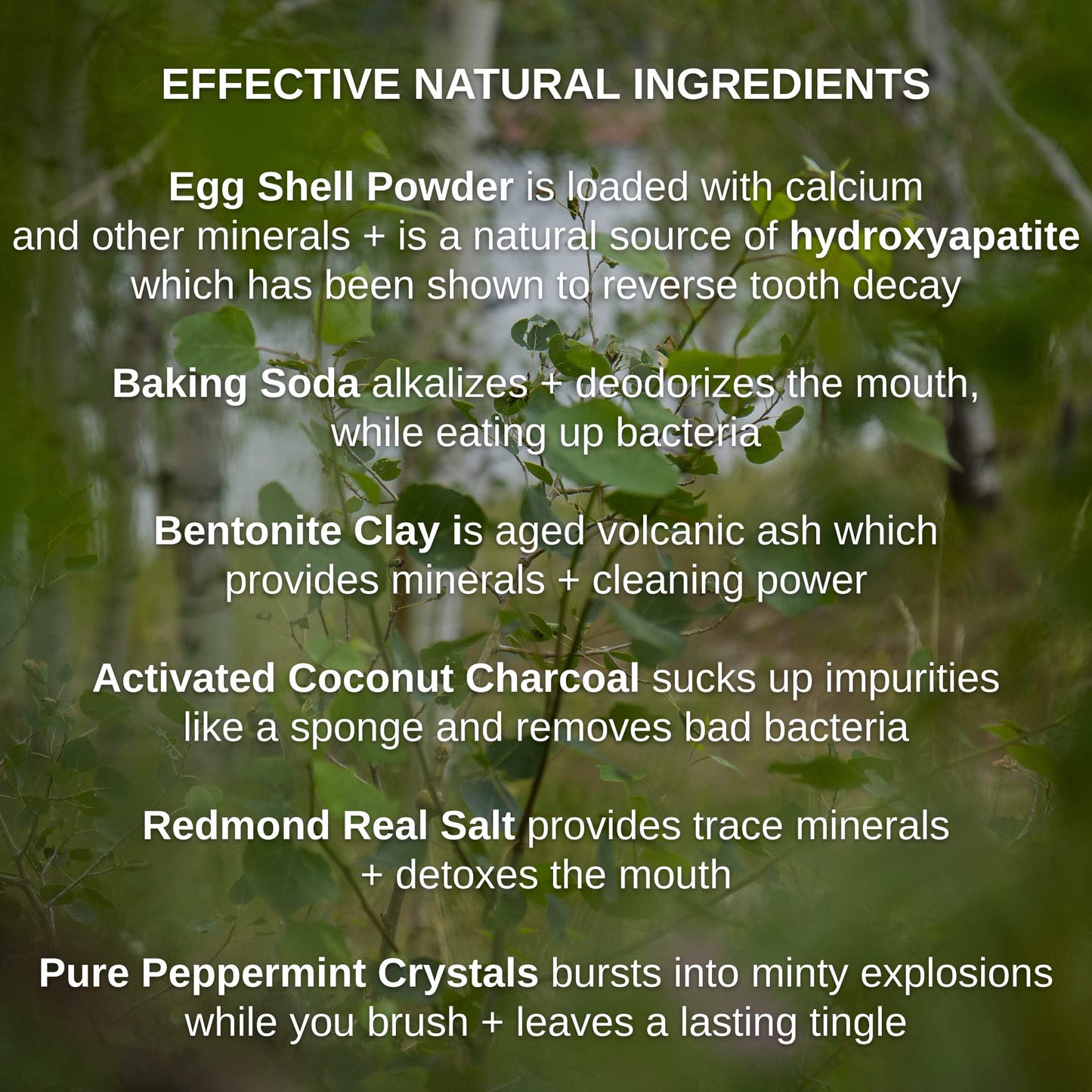 Shwally Tooth Powder with Hydroxyapatite – Fluoride Free, Eggshell & Cattle Bone, Peppermint (2 oz)
