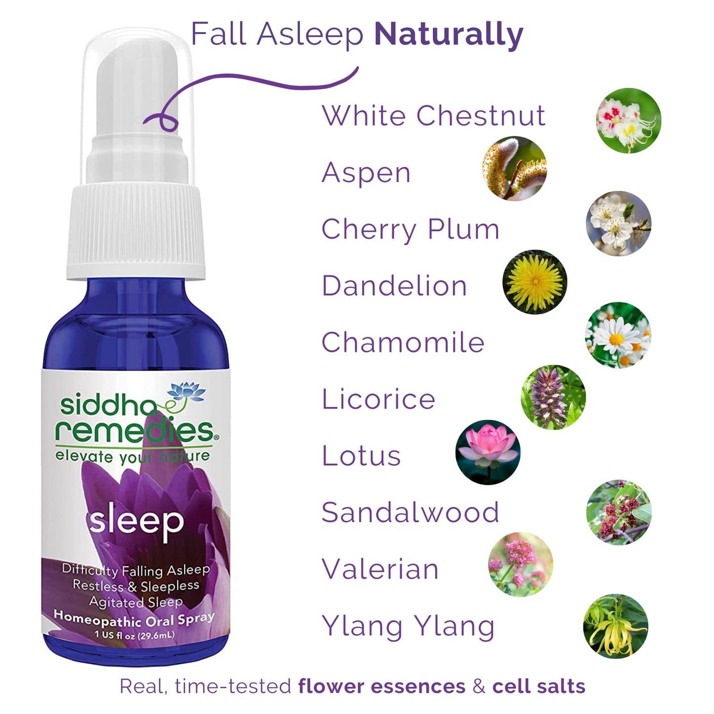 Siddha Sleep Aid Spray – Natural Sleep for Adults & Kids | Homeopathic Remedy