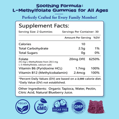 2 Pack Sijigood L-Methylfolate Gummies with Methyl B12 - Blueberry Flavor 120 Count